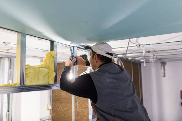 Best Specialized Insulation Services in Lyncourt, NY