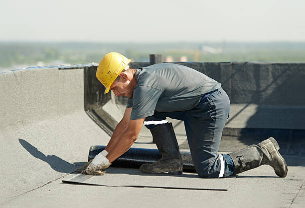 Best Eco-Friendly Insulation in Lyncourt, NY